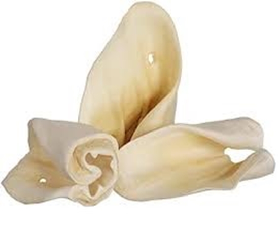 Picture of Bubimex Cow Ears for Dogs Healthy Treats & Natural Beef Chew